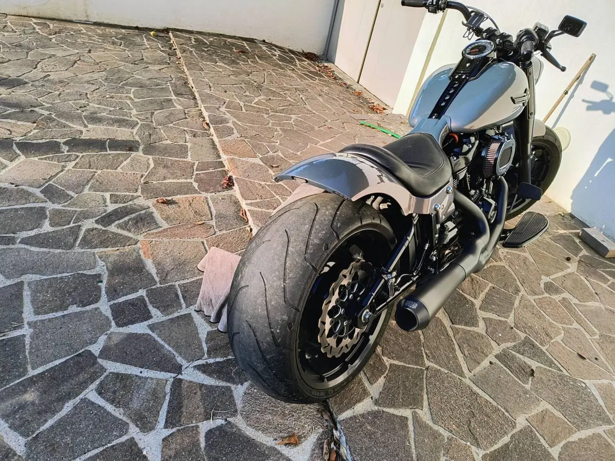 Harley-Davidson Fat Boy 114 (2021 - 24) (4)