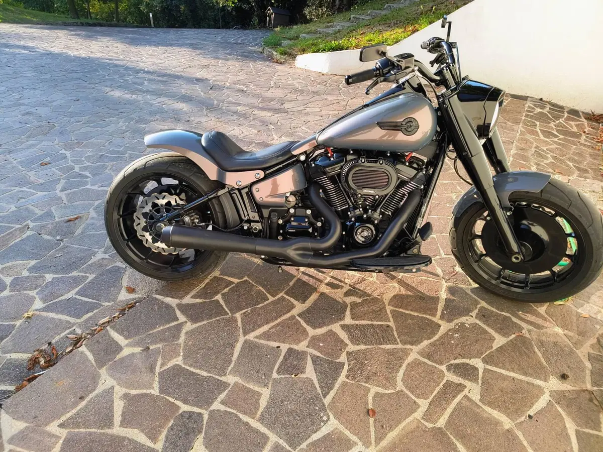 Harley-Davidson Fat Boy 114 (2021 - 24) (5)