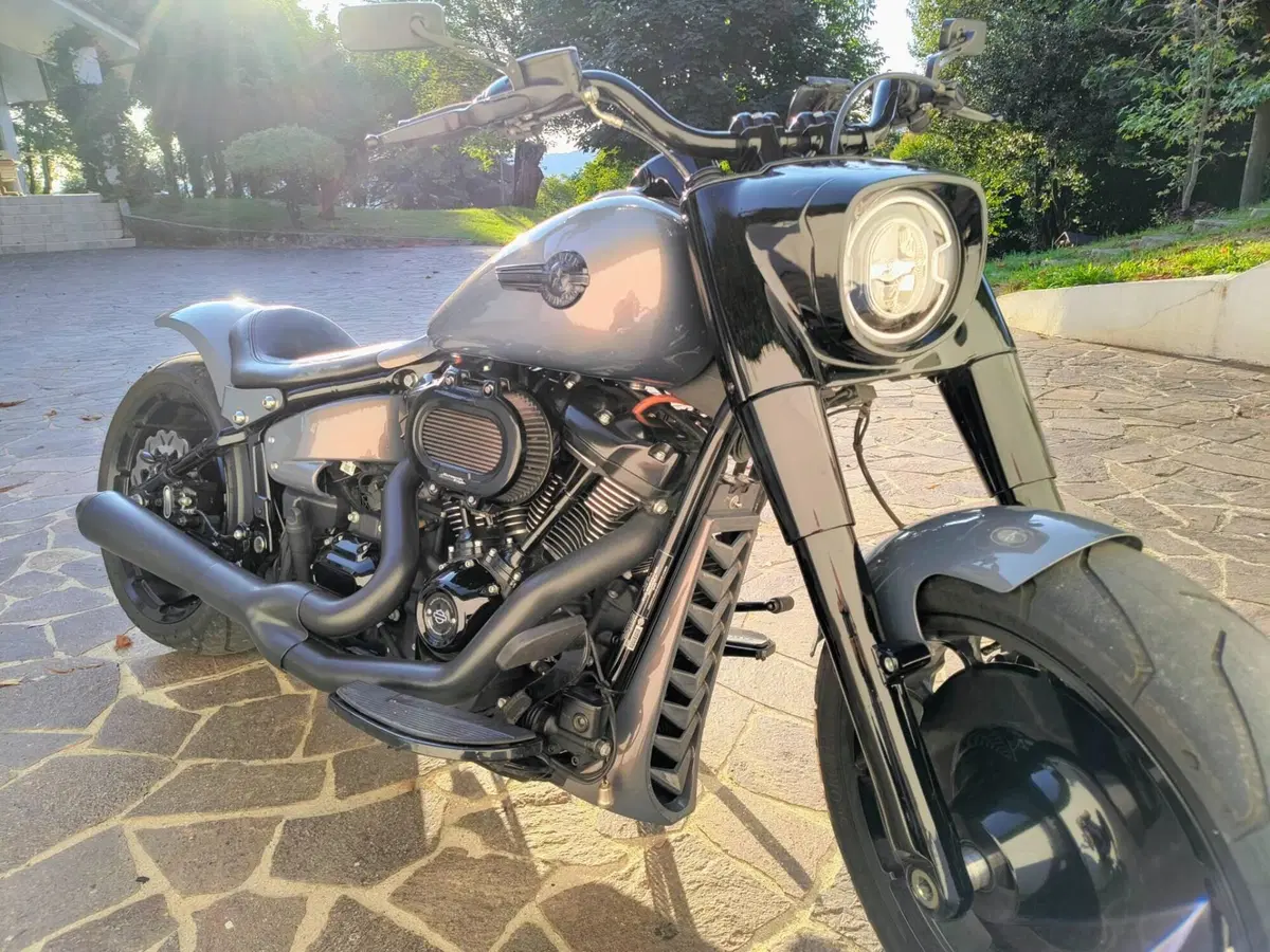 Harley-Davidson Fat Boy 114 (2021 - 24) (6)