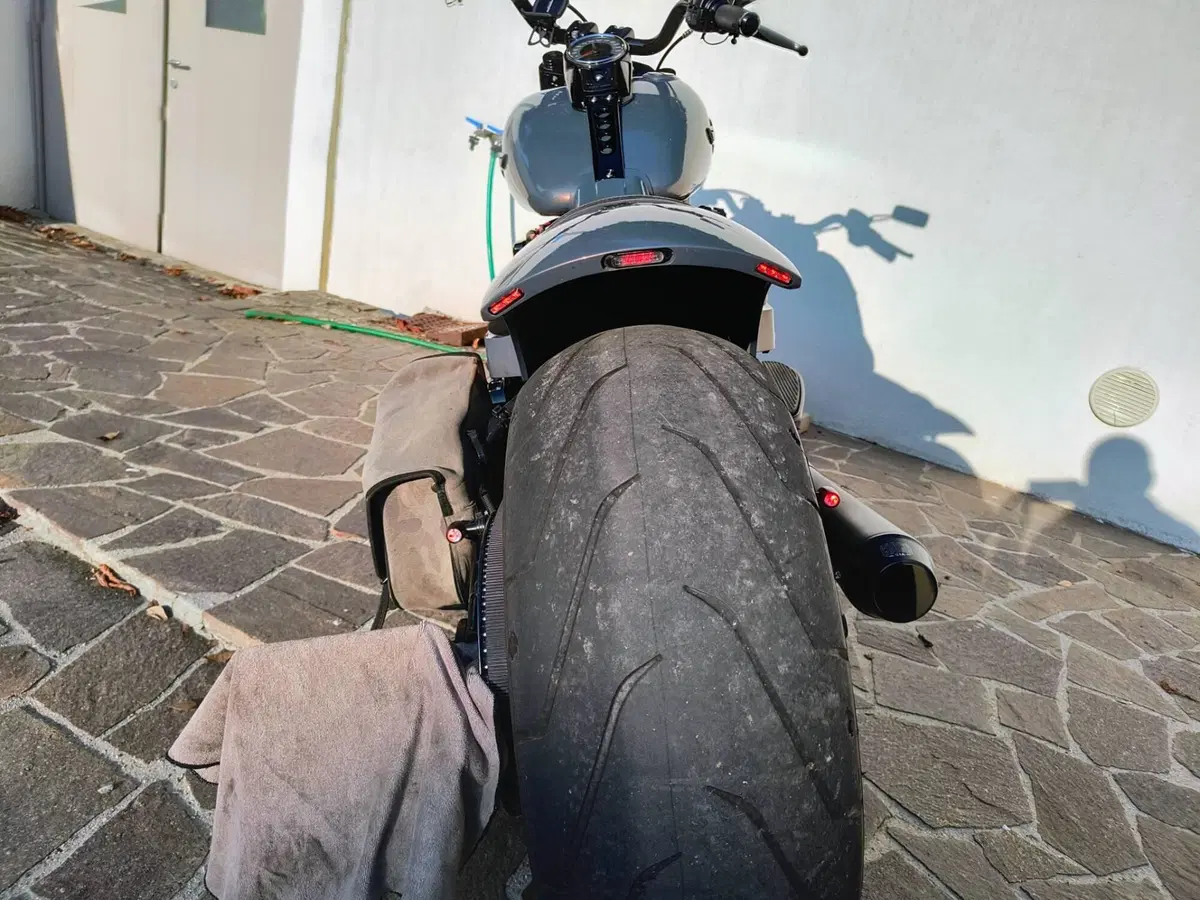 Harley-Davidson Fat Boy 114 (2021 - 24) (8)