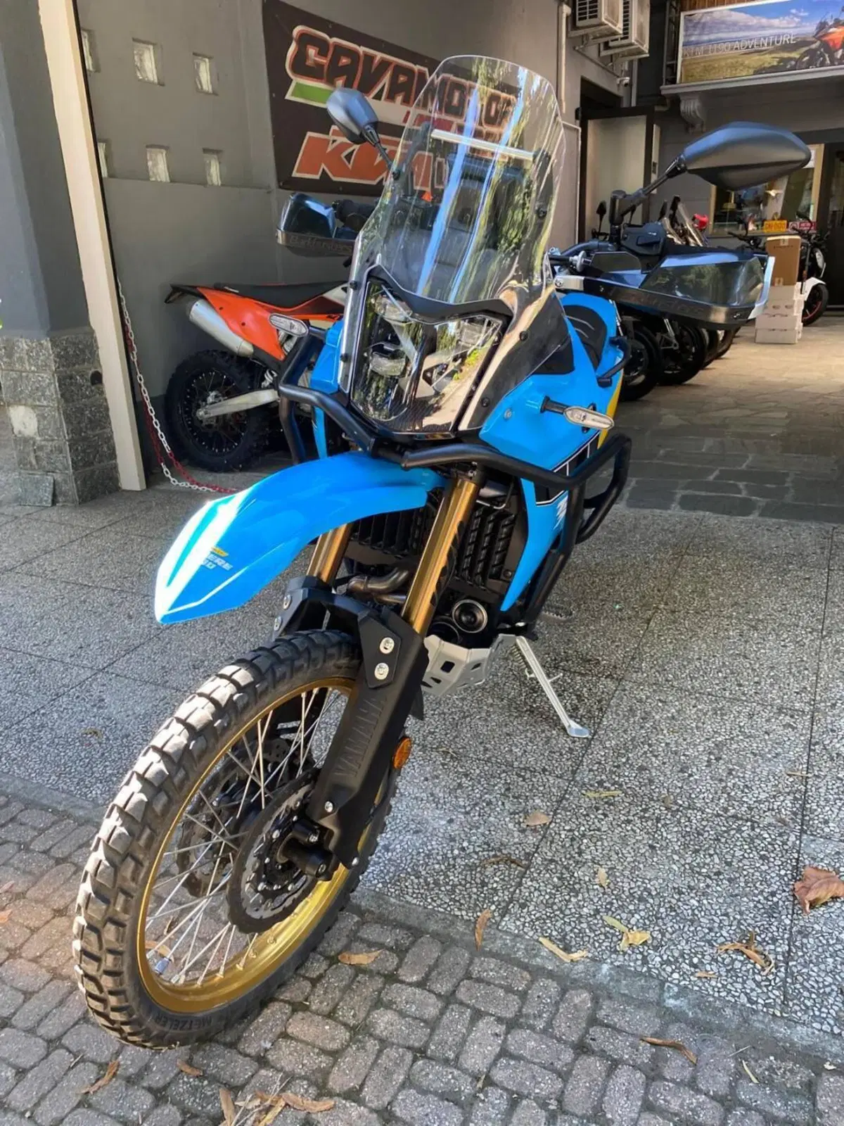 Yamaha Ténéré 700 Rally (2025 - 26) (3)