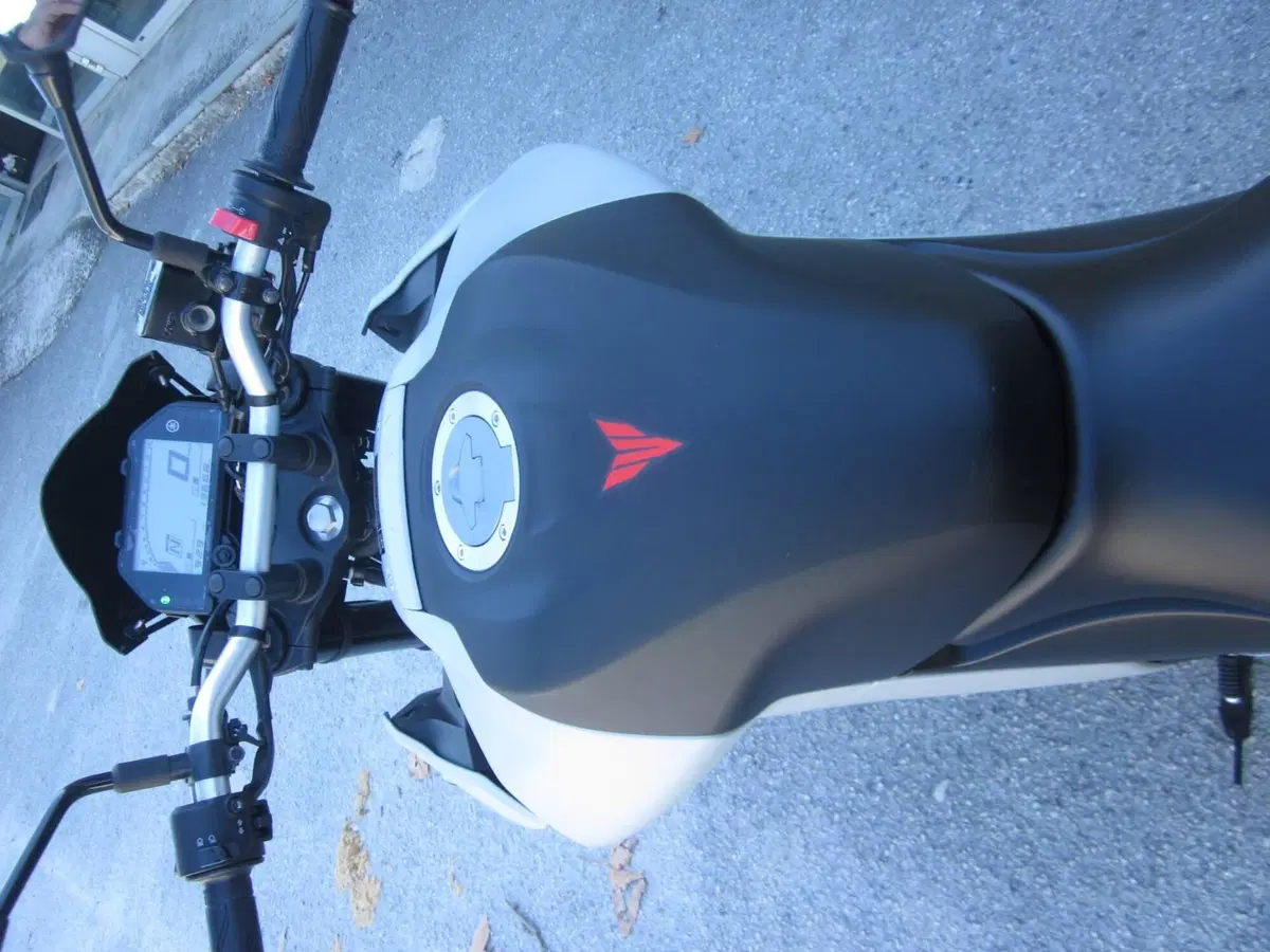 Yamaha MT-03 (2020) (5)