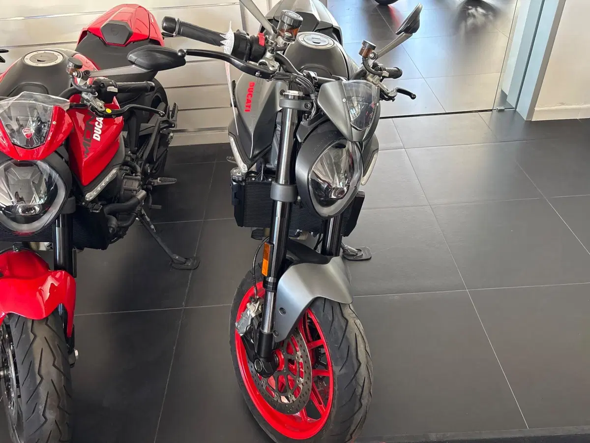 Ducati Monster 937 + (2021 - 25) (4)