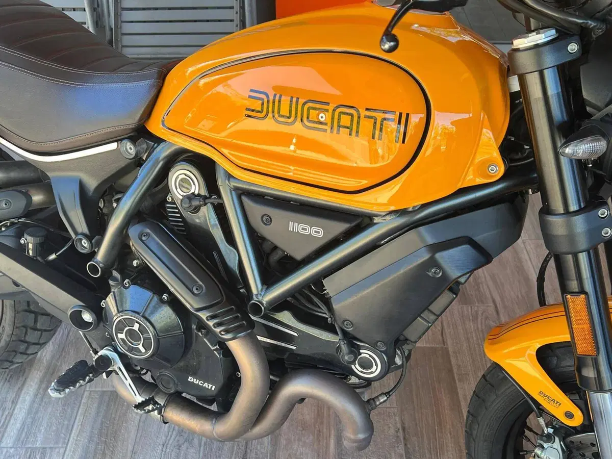 Ducati Scrambler 1100 Tribute Pro (2022 - 24) (4)
