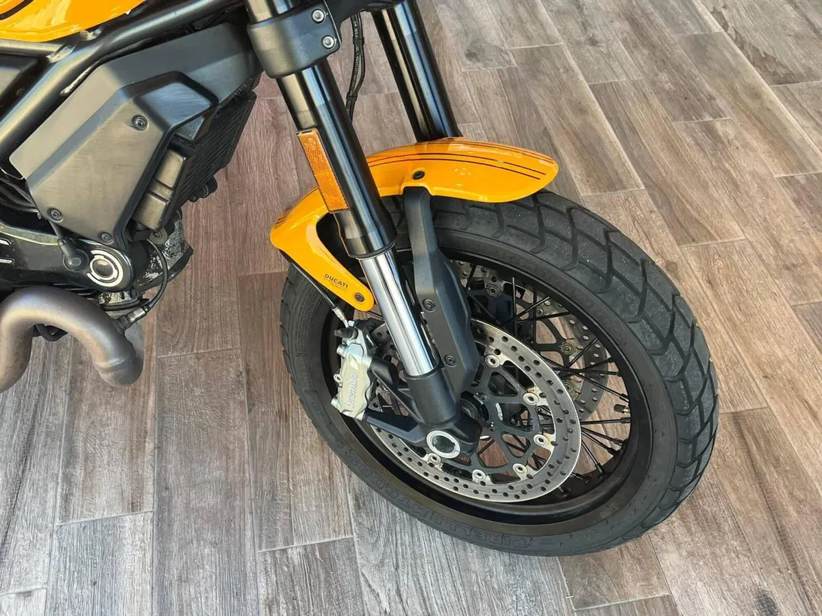 Ducati Scrambler 1100 Tribute Pro (2022 - 24) (5)