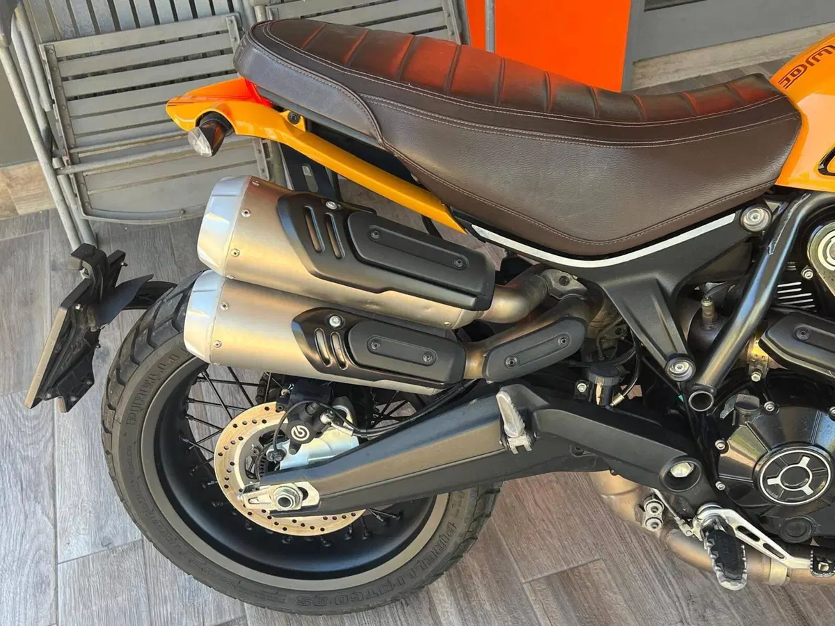 Ducati Scrambler 1100 Tribute Pro (2022 - 24) (6)