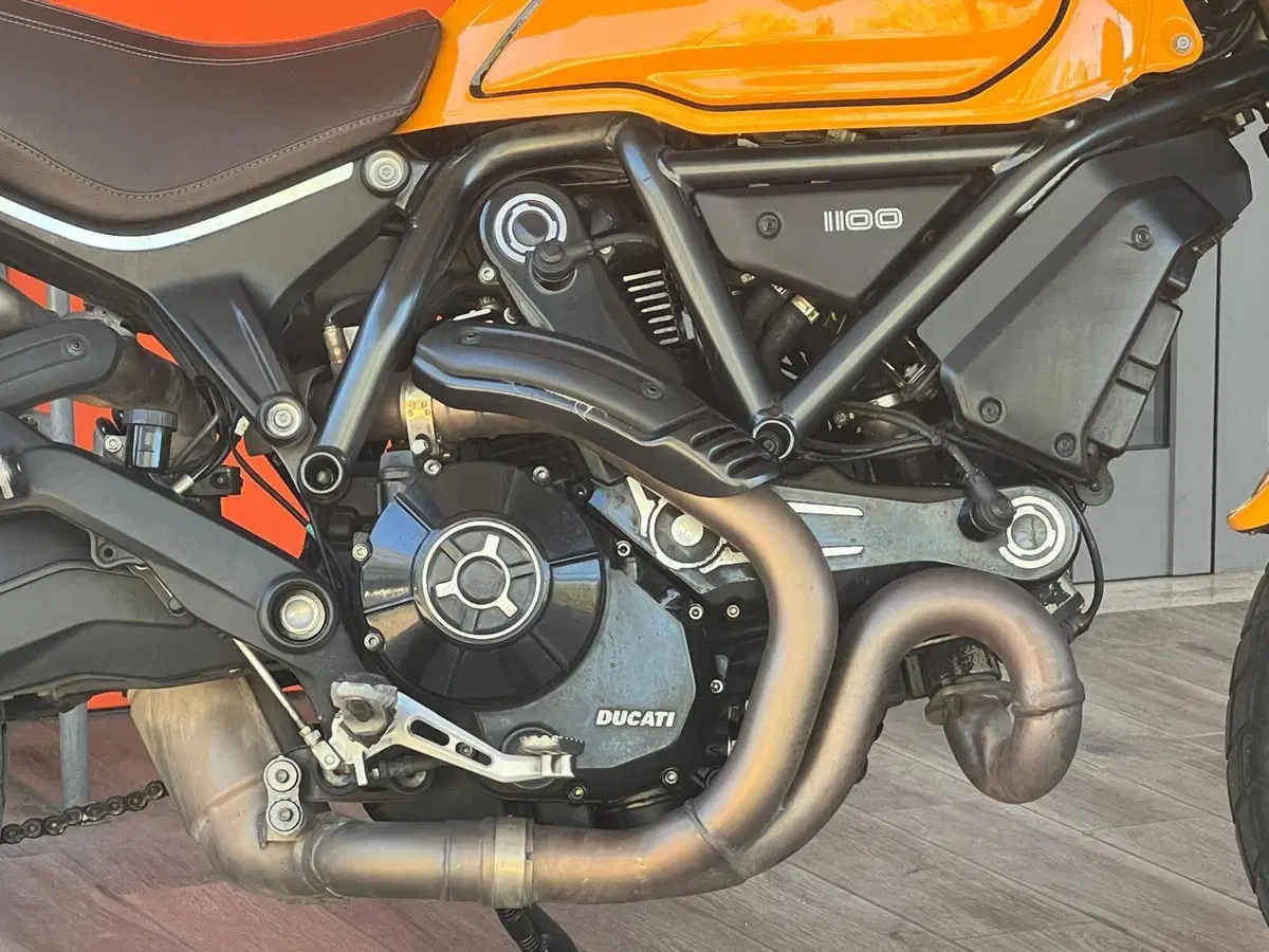 Ducati Scrambler 1100 Tribute Pro (2022 - 24) (7)