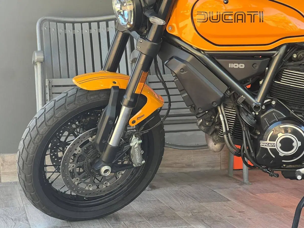 Ducati Scrambler 1100 Tribute Pro (2022 - 24) (12)