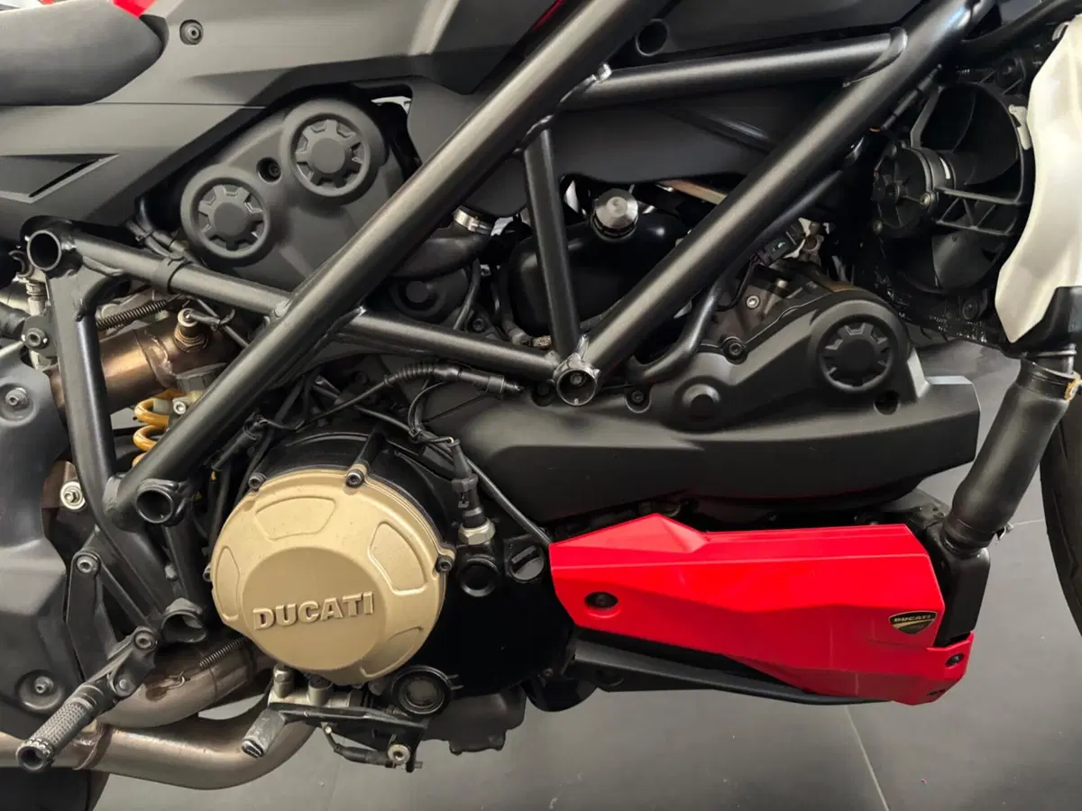 Ducati Streetfighter (2009 - 12) (4)