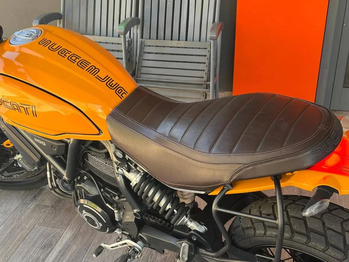 Ducati Scrambler 1100 Tribute Pro (2022 - 24) (9)