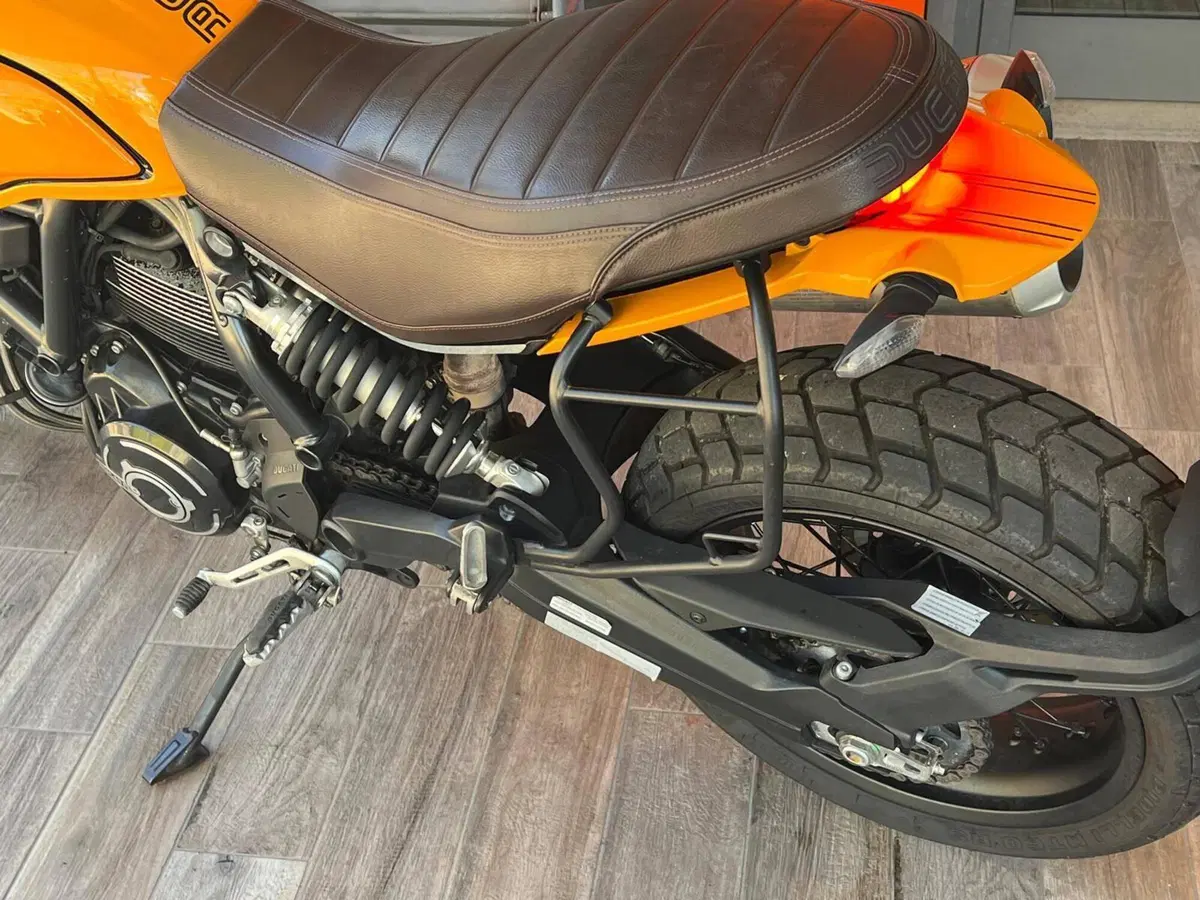 Ducati Scrambler 1100 Tribute Pro (2022 - 24) (15)