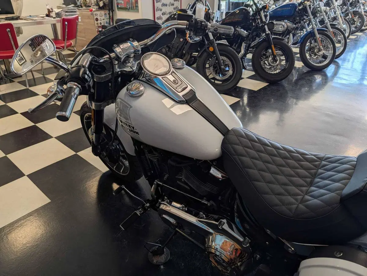 Harley-Davidson 107 Sport Glide (2018 - 20) (8)