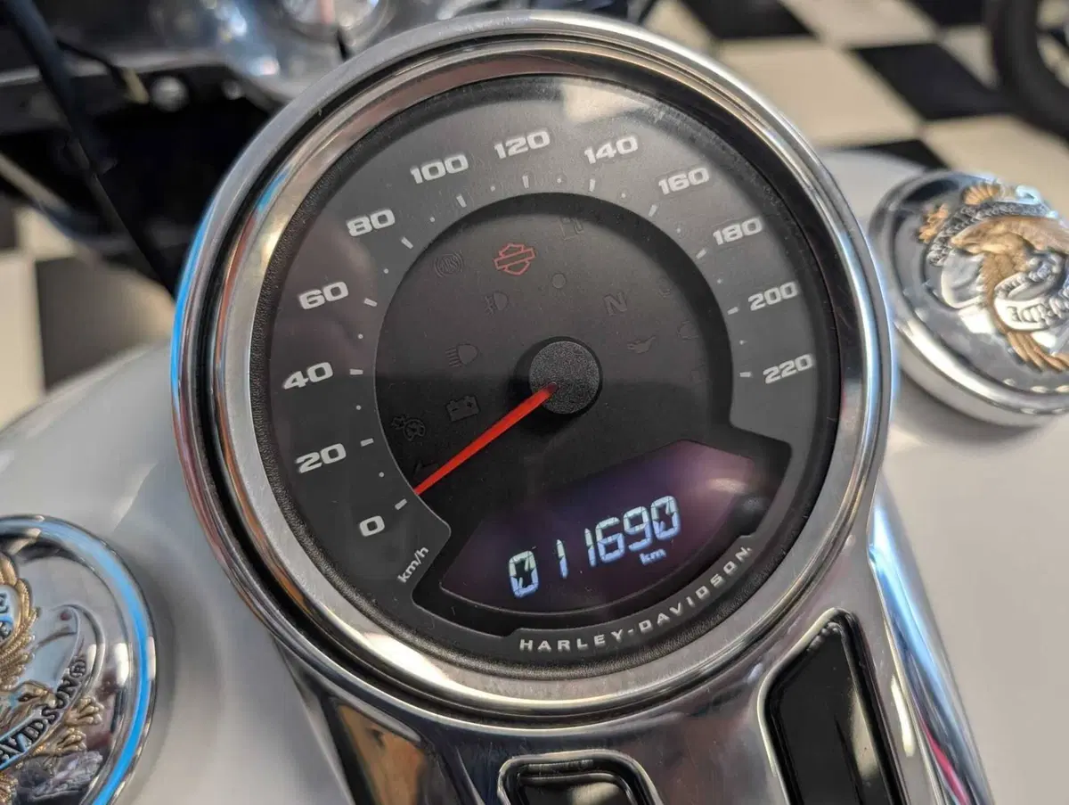 Harley-Davidson 107 Sport Glide (2018 - 20) (10)