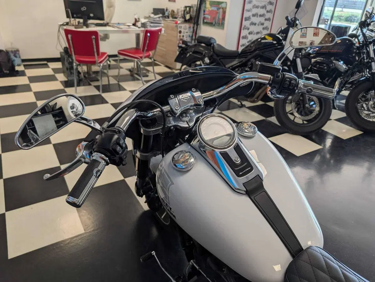 Harley-Davidson 107 Sport Glide (2018 - 20) (11)