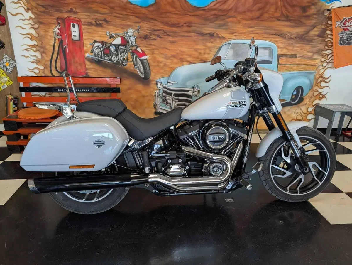 Harley-Davidson 107 Sport Glide (2018 - 20) (13)
