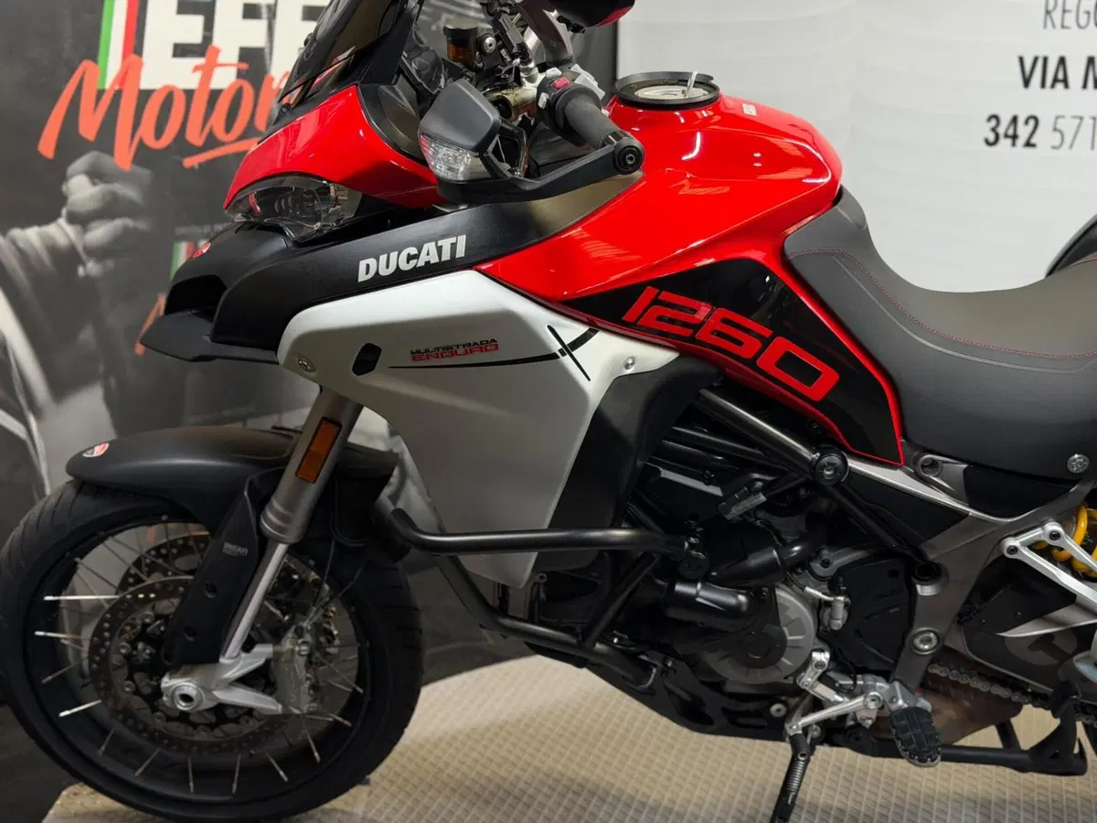 Ducati Multistrada 1260 Enduro (2019 - 21) (9)