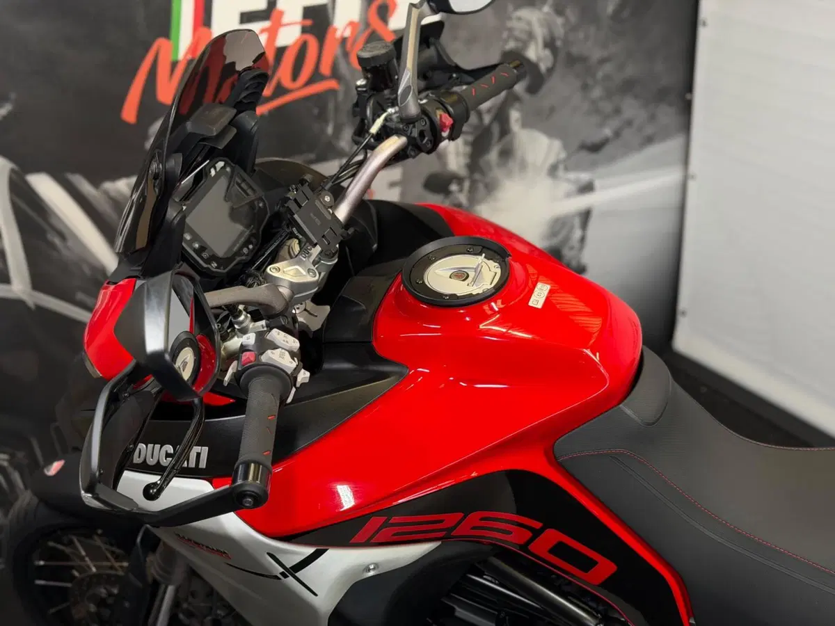 Ducati Multistrada 1260 Enduro (2019 - 21) (11)