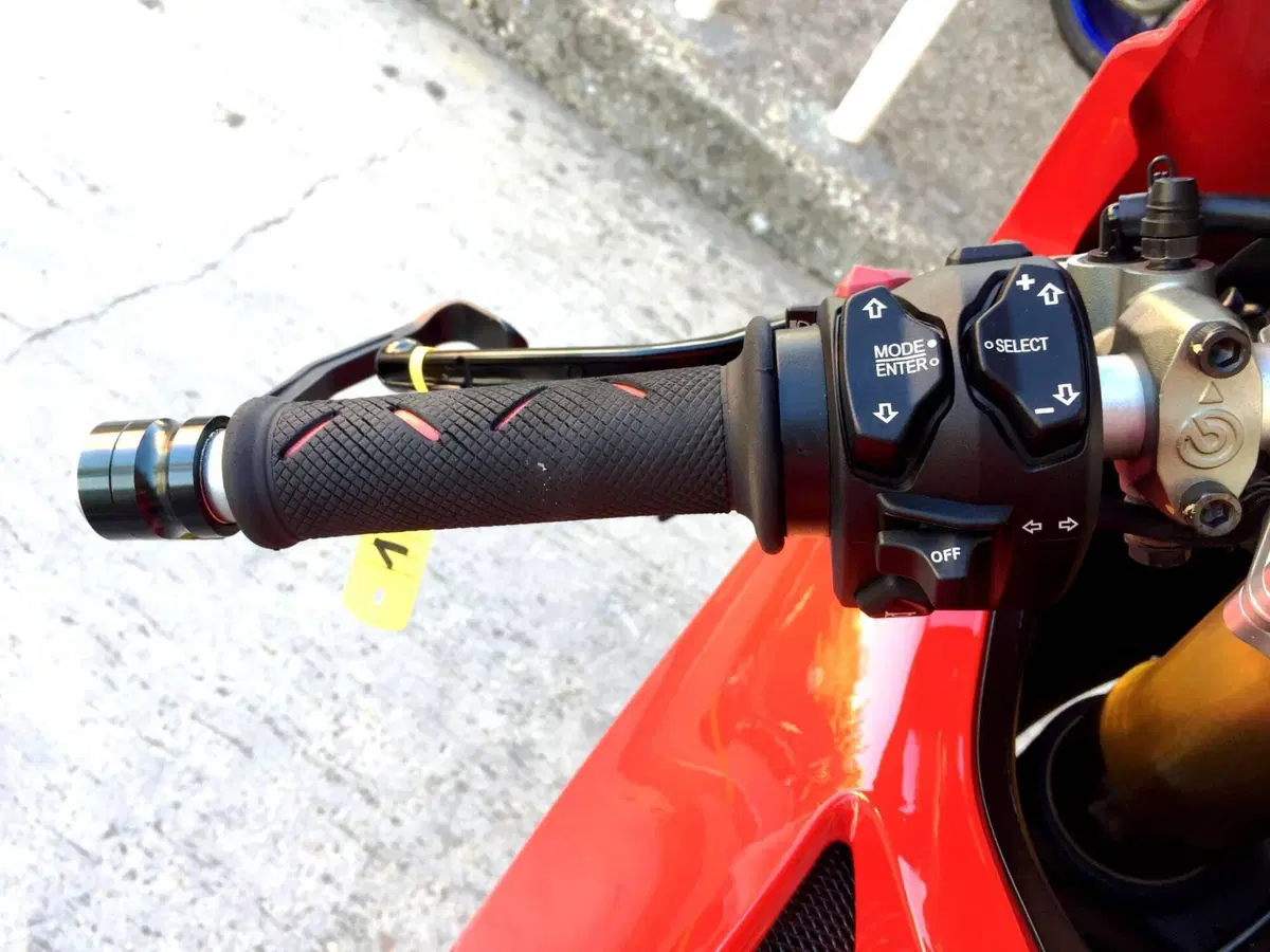 Ducati Panigale V4 S 1100 (2021) (12)