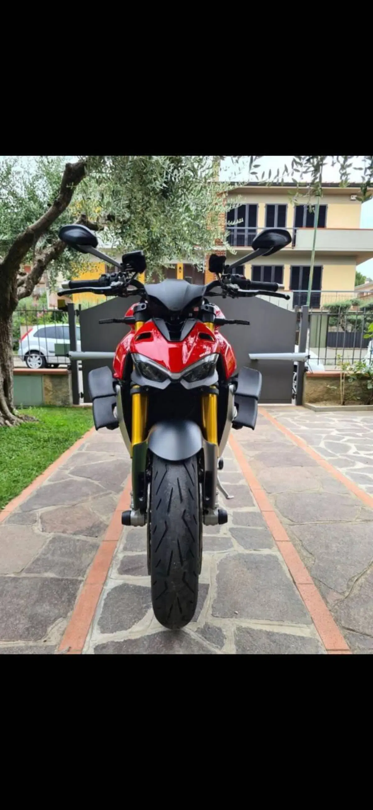 Ducati Streetfighter V4 1100 S (2020) (4)