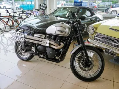 Triumph Scrambler (2006 - 17) usata