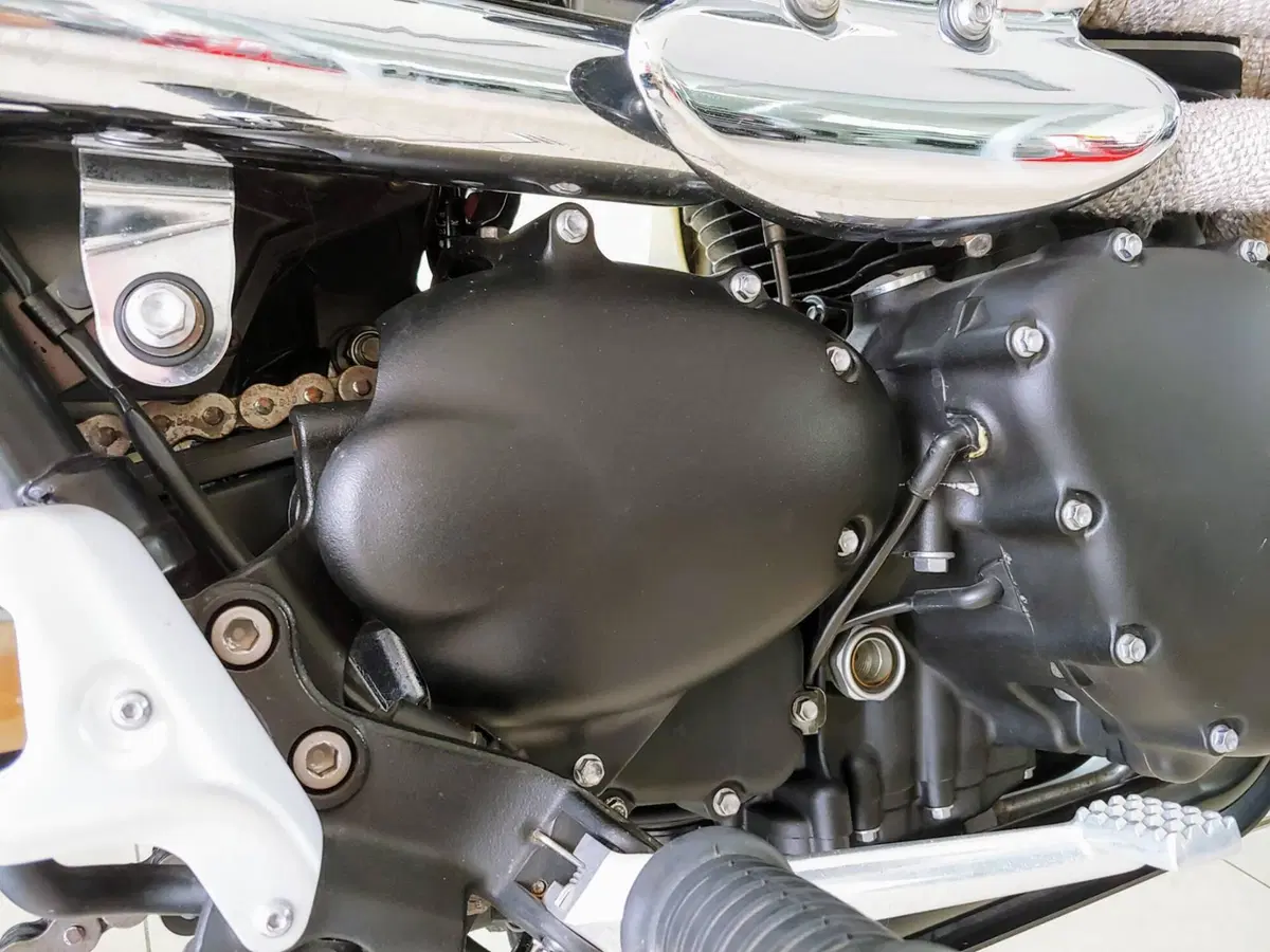 Triumph Scrambler (2006 - 17) (6)