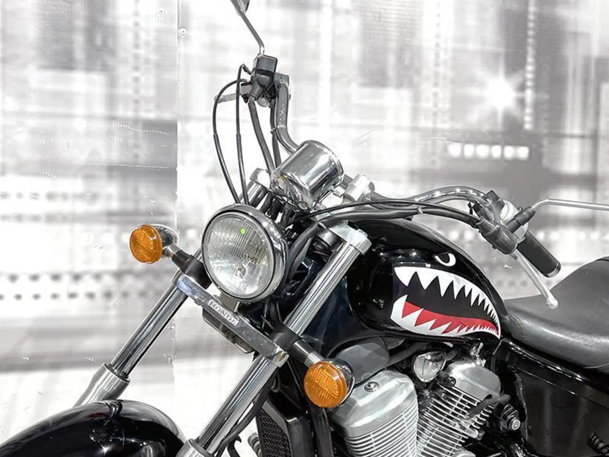 Honda VT 600 C Shadow (1989 - 02) (5)