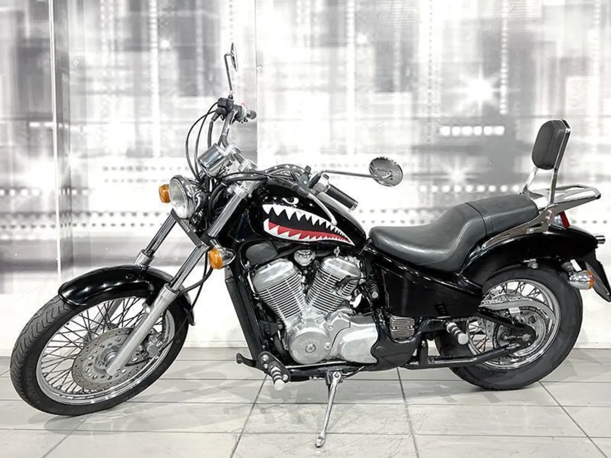 Honda VT 600 C Shadow (1989 - 02) (7)