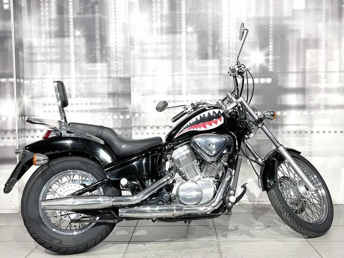 Honda VT 600 C Shadow (1989 - 02) (8)