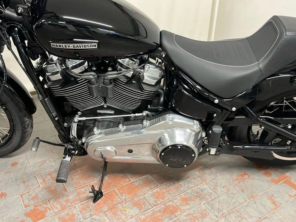 Harley-Davidson Street Bob 117 (2025 - 26) (13)