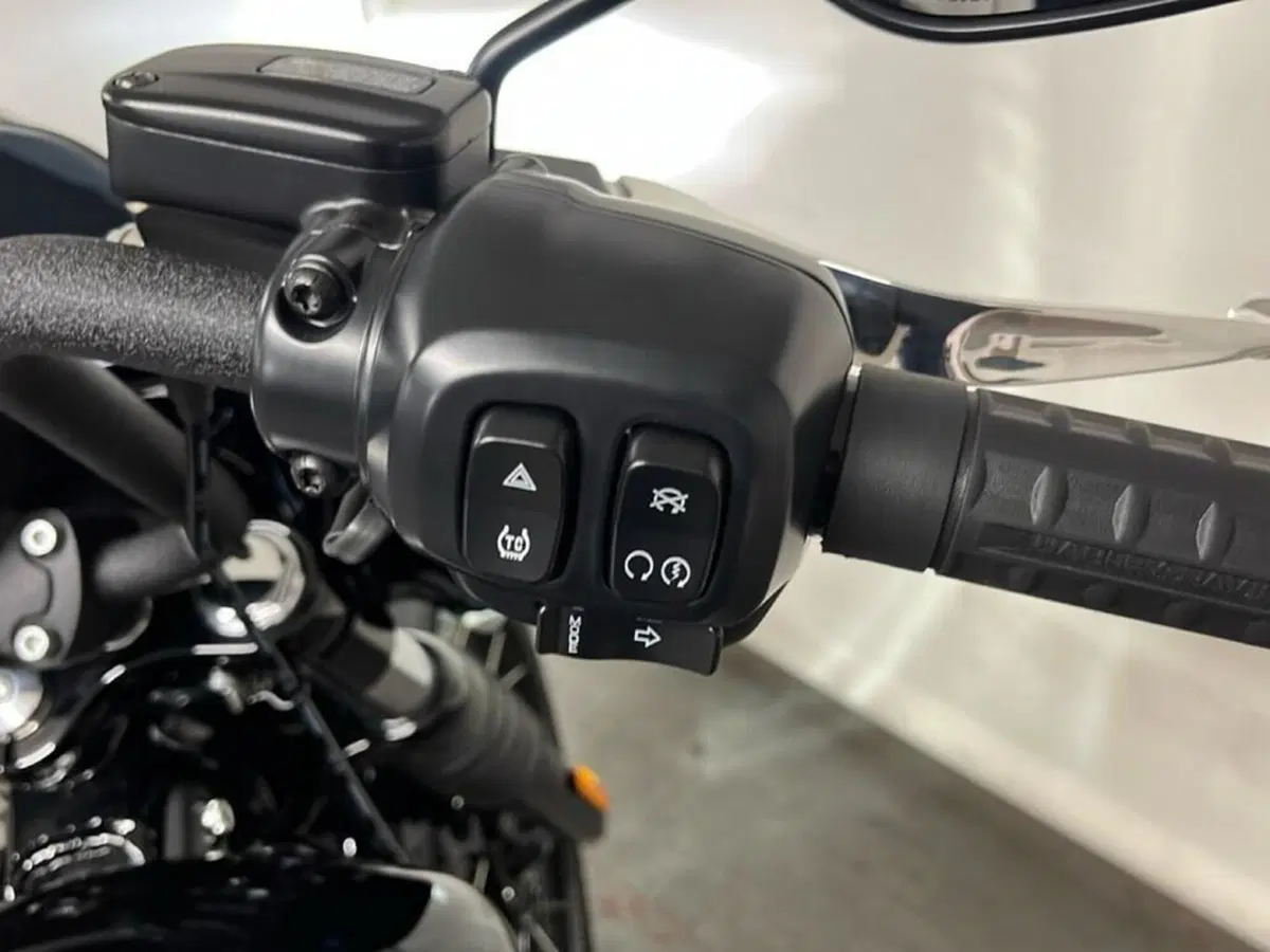 Harley-Davidson Street Bob 117 (2025 - 26) (9)