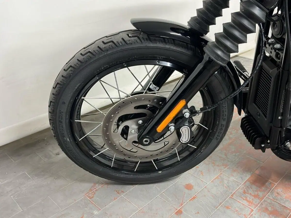 Harley-Davidson Street Bob 117 (2025 - 26) (12)