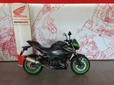 Kawasaki Z 500 (2024 - 26) usata