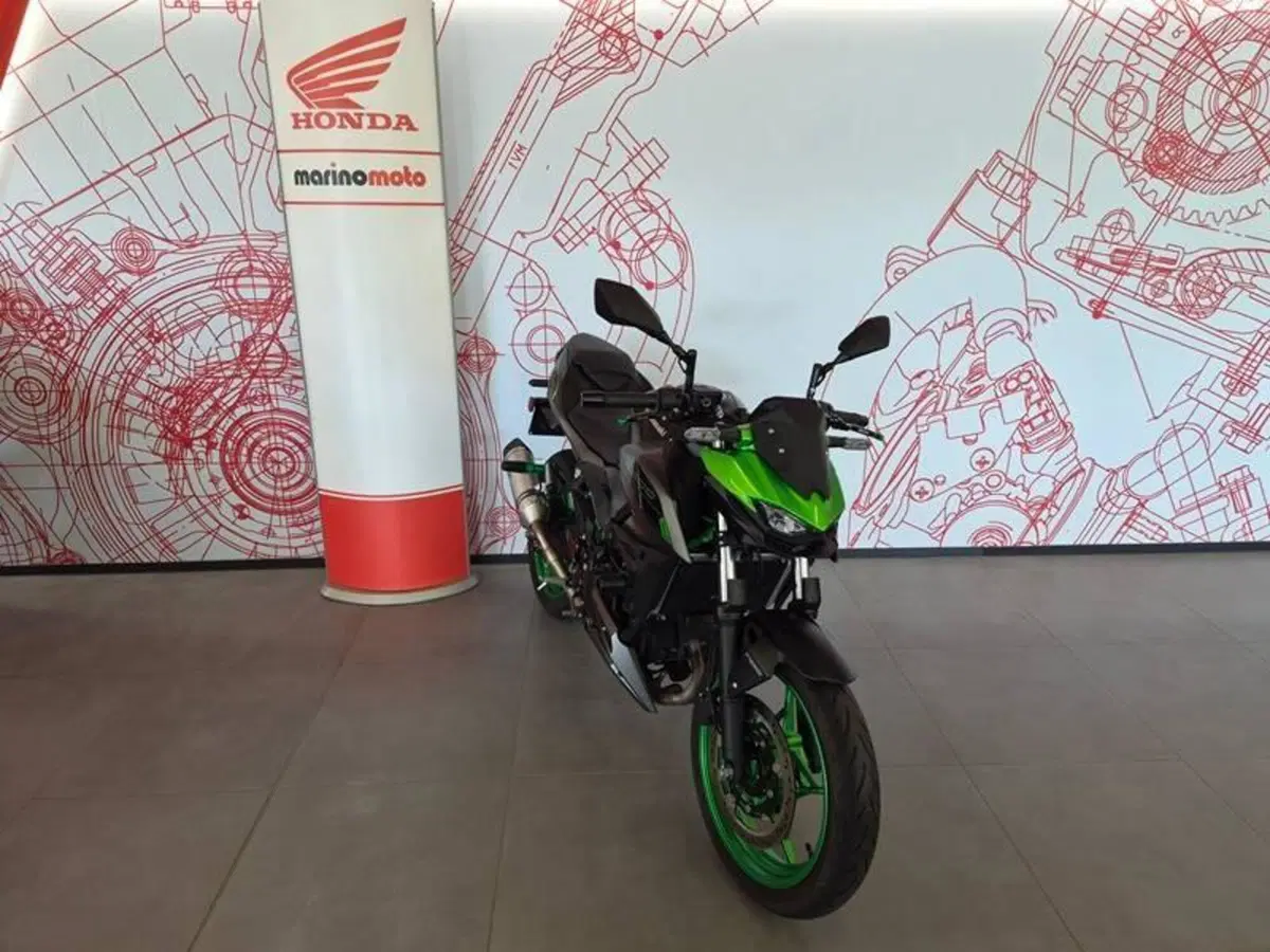 Kawasaki Z 500 (2024 - 26) (2)
