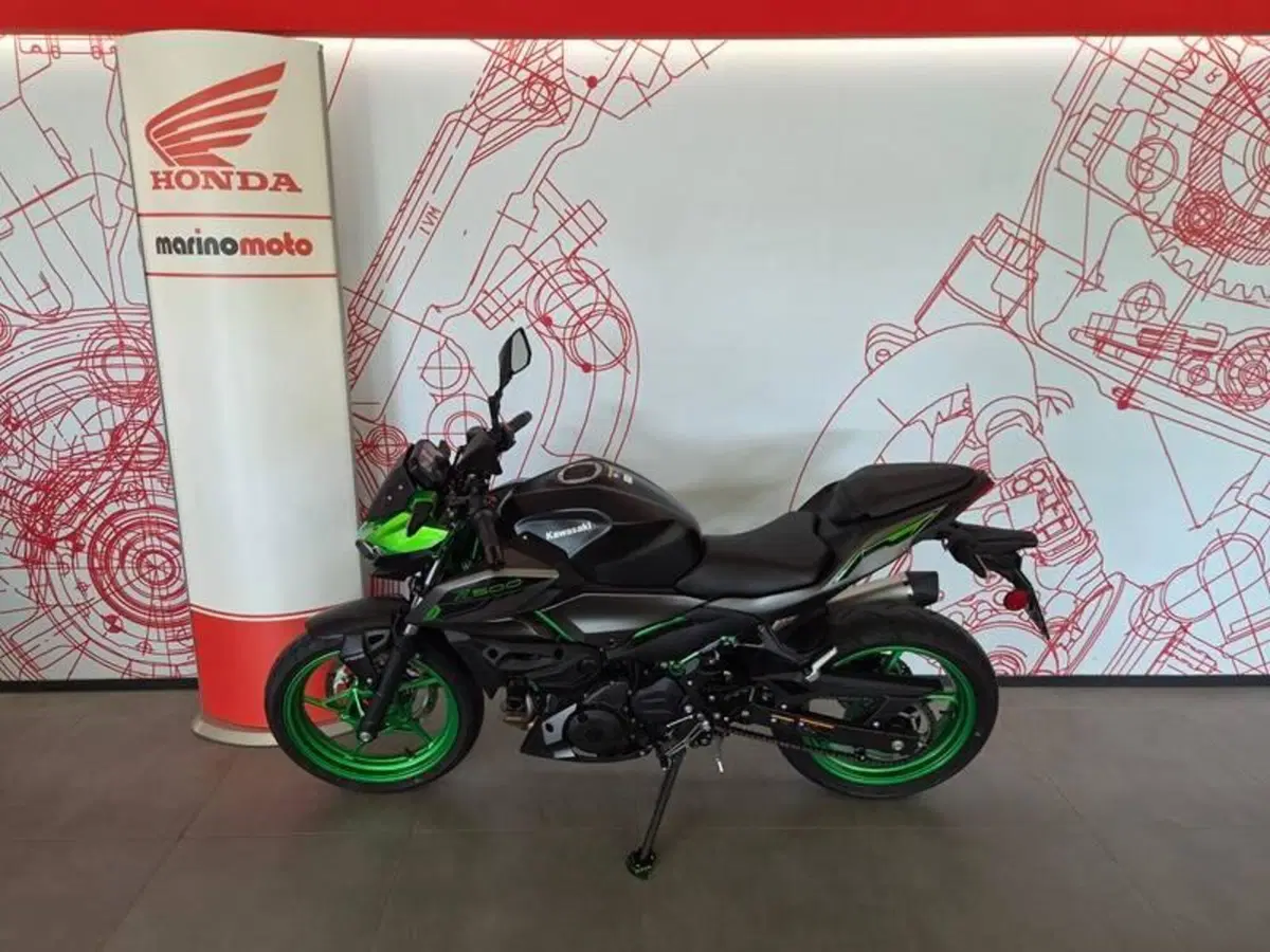 Kawasaki Z 500 (2024 - 26) (3)
