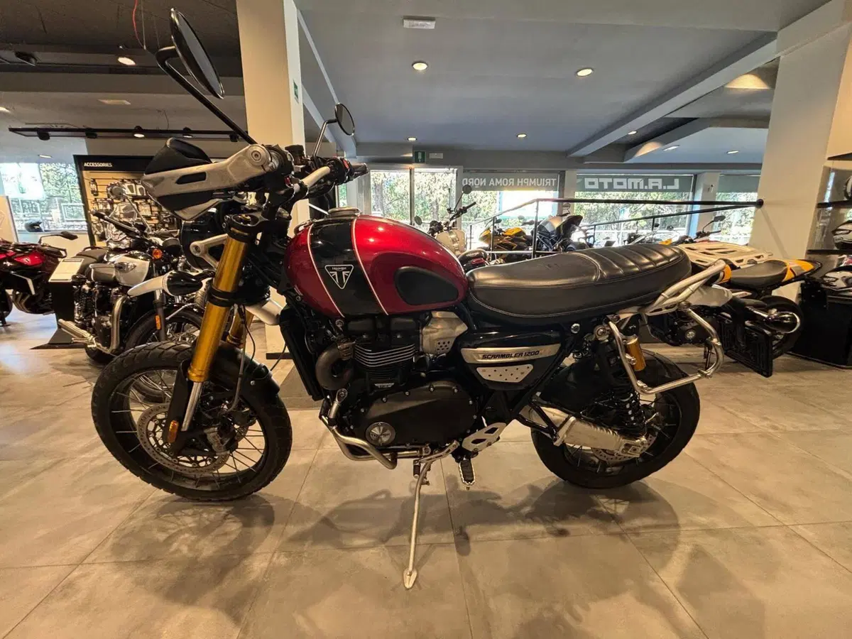 Triumph Scrambler 1200 XE (2024 - 25) (2)