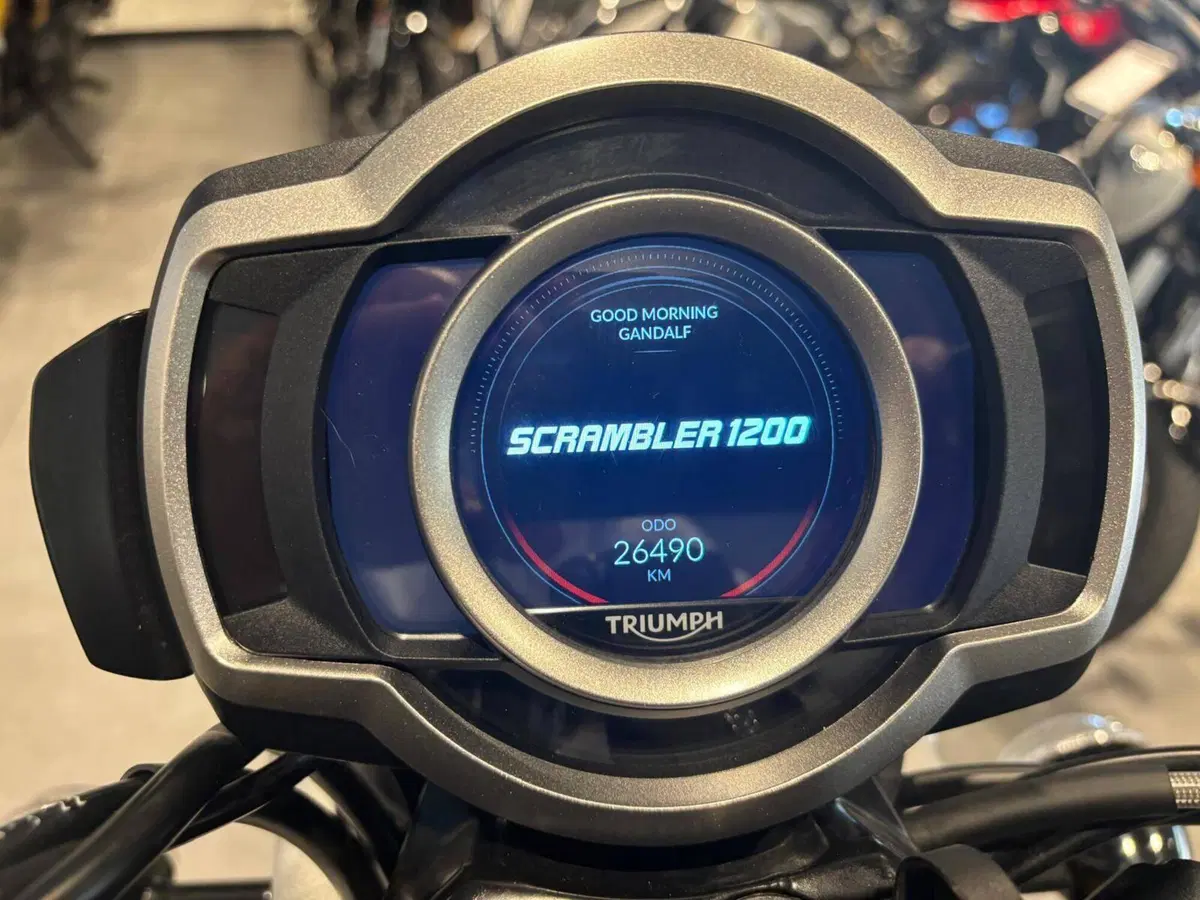 Triumph Scrambler 1200 XE (2024 - 25) (3)