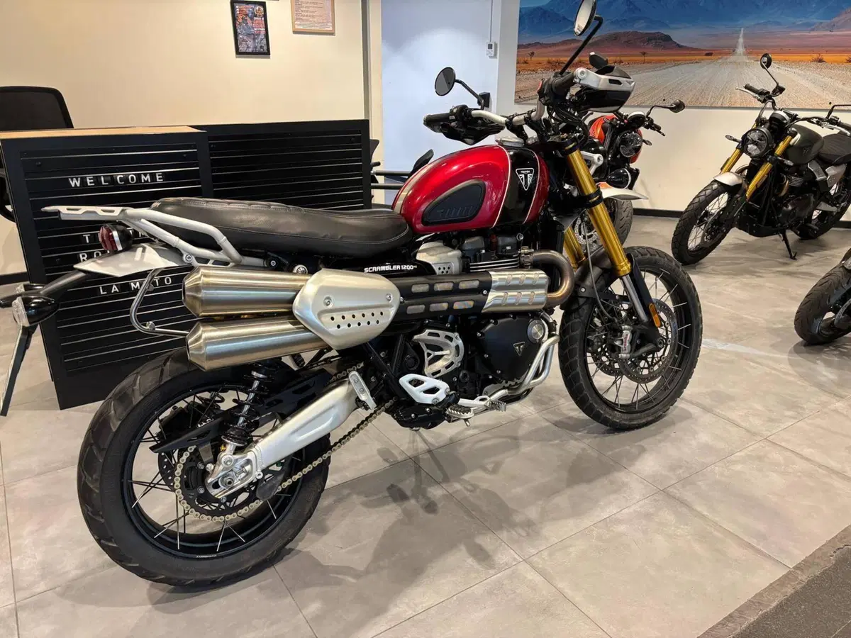 Triumph Scrambler 1200 XE (2024 - 25) (4)