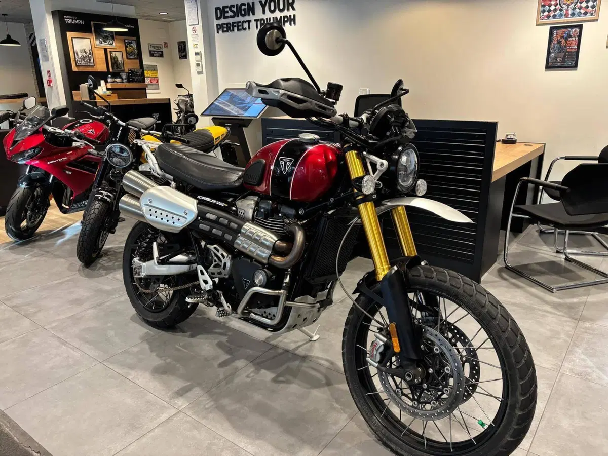 Triumph Scrambler 1200 XE (2024 - 25) (5)