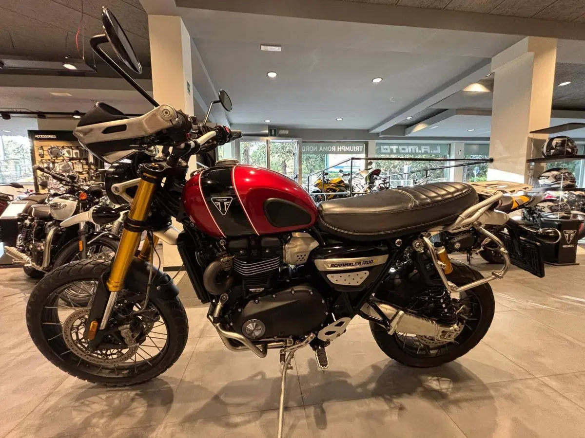 Triumph Scrambler 1200 XE (2024 - 25) (6)