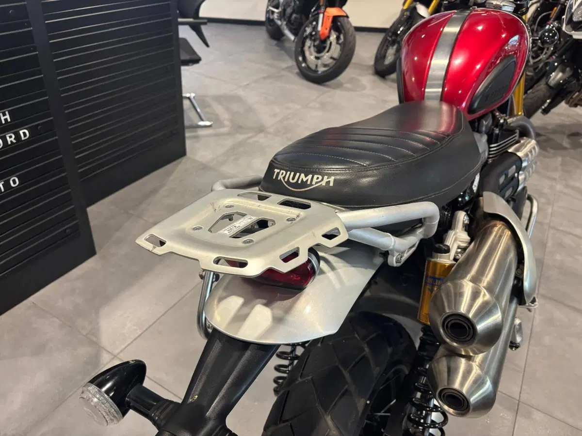 Triumph Scrambler 1200 XE (2024 - 25) (7)