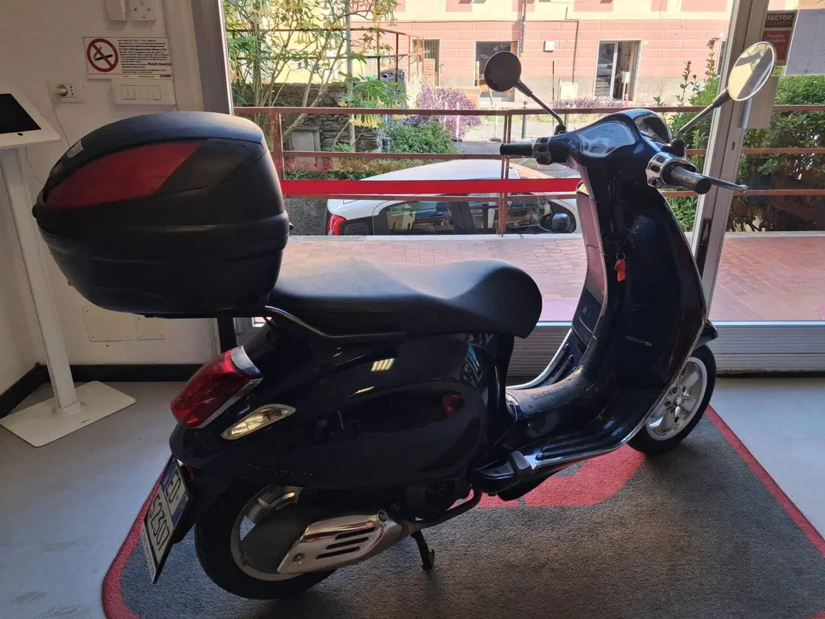Vespa Primavera 150 3V ie (2014 - 16) (6)