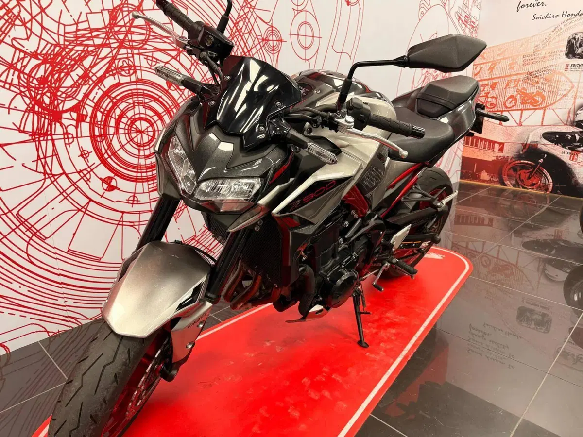 Kawasaki Z 900 (2021 - 24) (2)