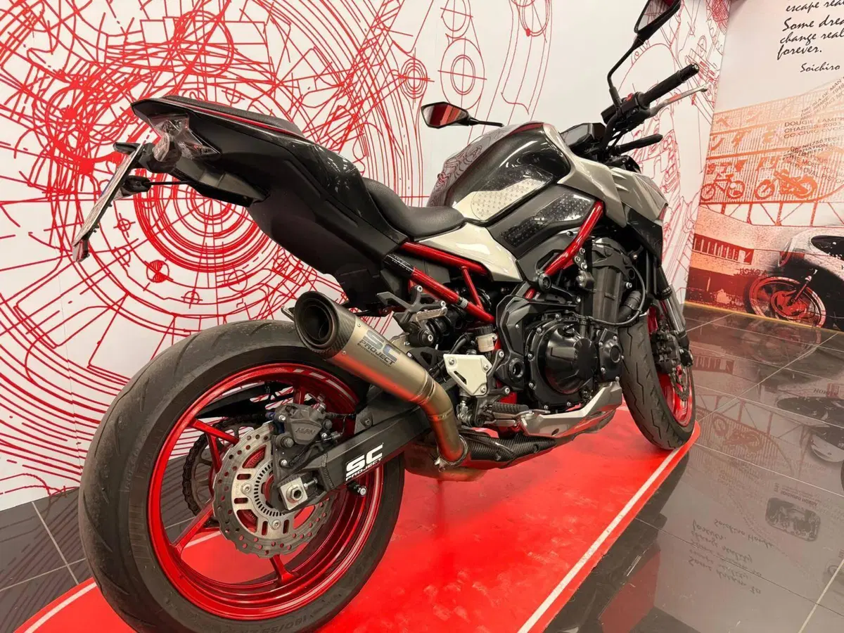 Kawasaki Z 900 (2021 - 24) (3)