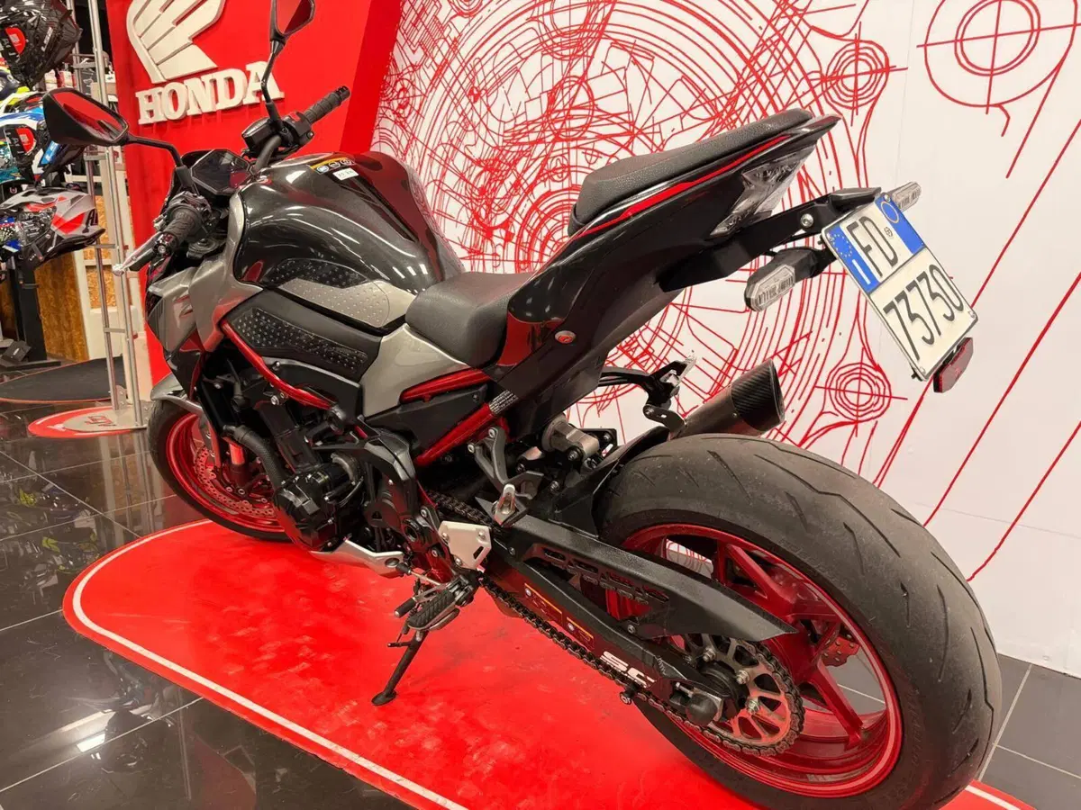 Kawasaki Z 900 (2021 - 24) (6)
