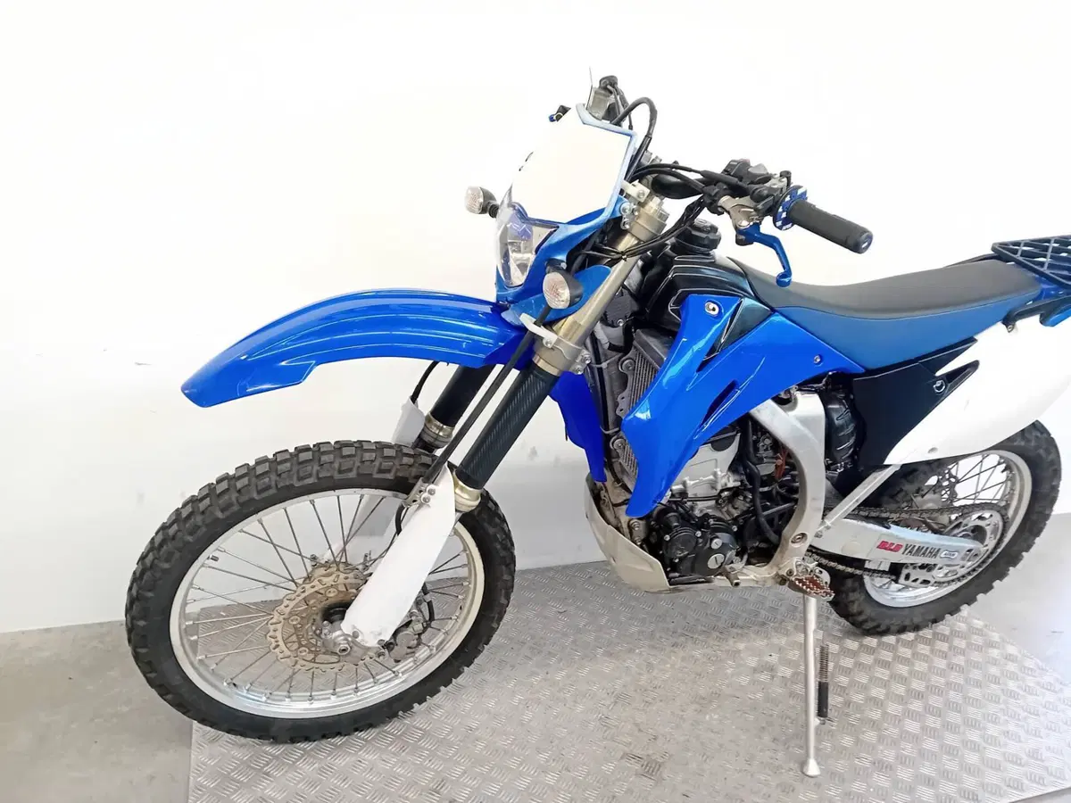 Yamaha WR 250 F (2009 - 14) (4)