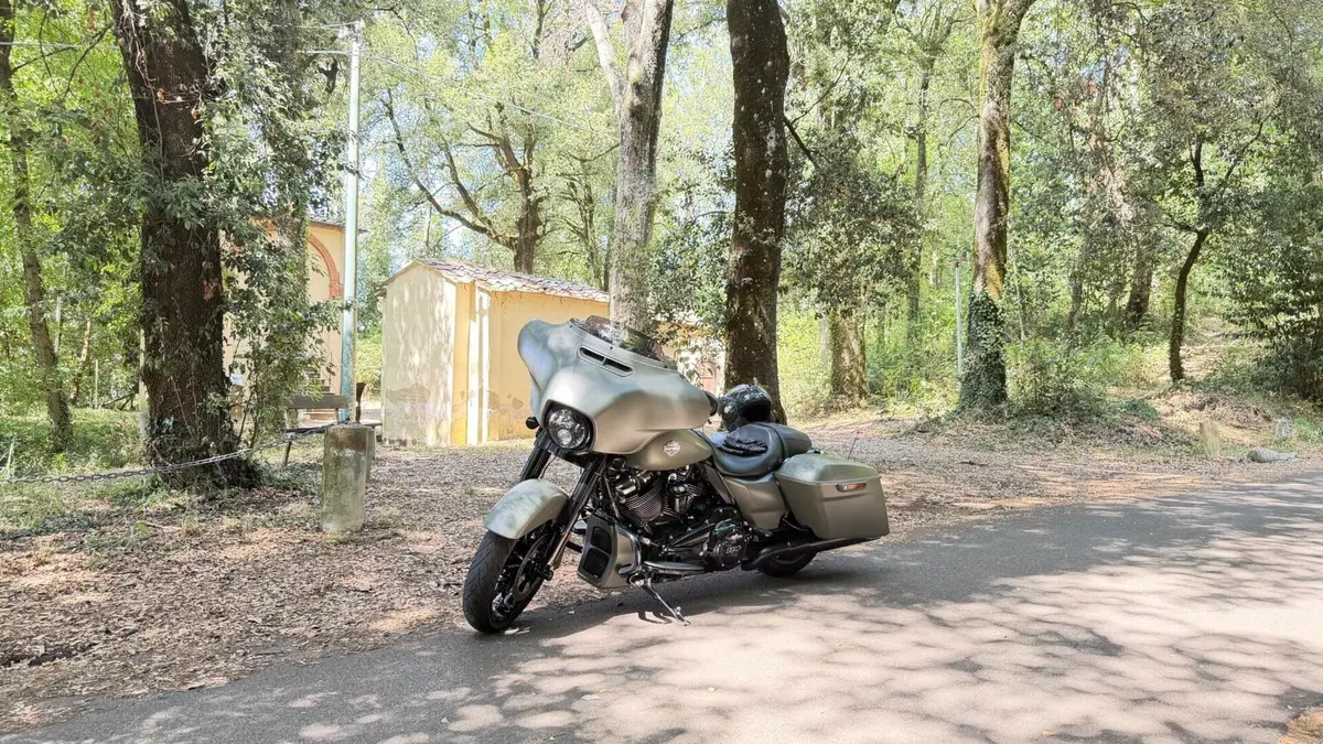 Harley-Davidson 114 Street Glide Special (2019 - 20) - FLHXS (2)