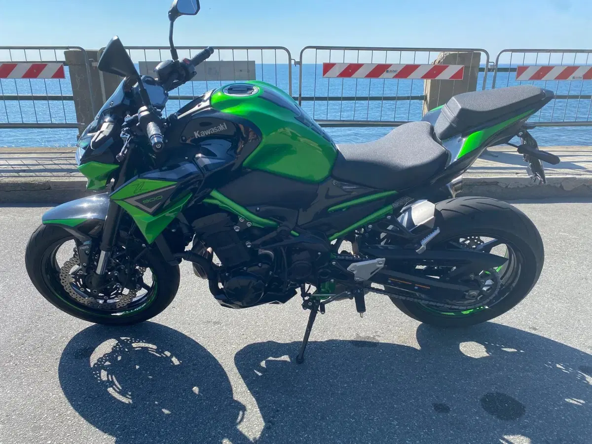Kawasaki Z 900 (2021 - 24) (4)
