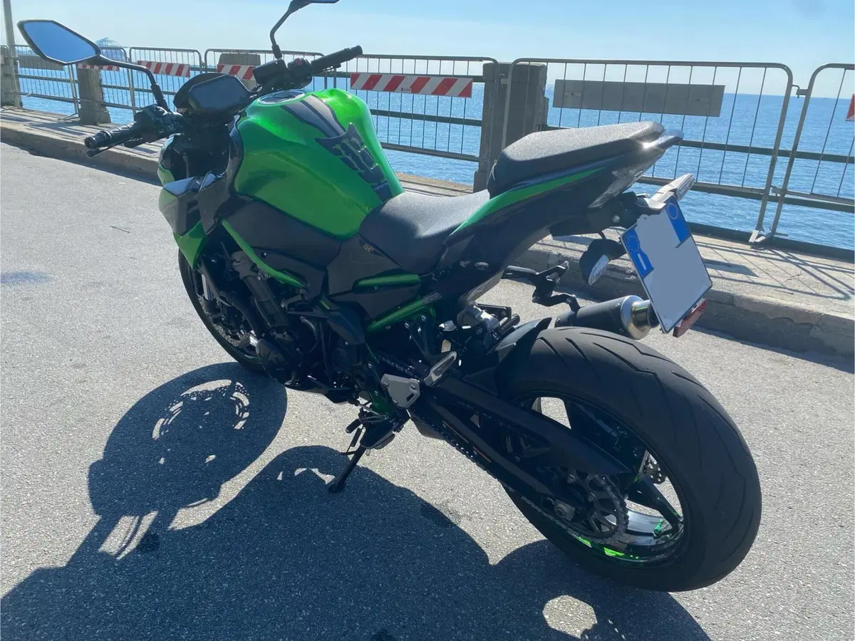 Kawasaki Z 900 (2021 - 24) (5)