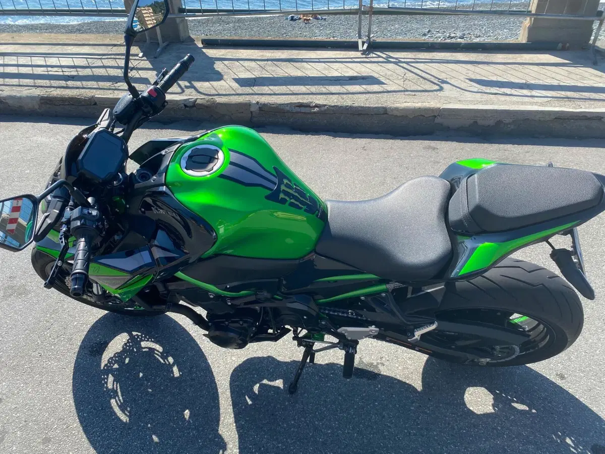 Kawasaki Z 900 (2021 - 24) (7)