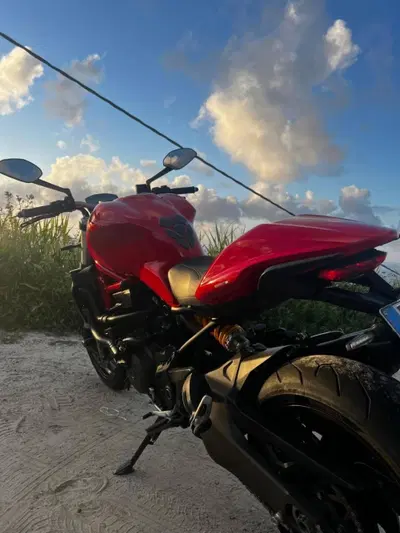 Ducati Monster 821 ABS (2014 - 17) usata